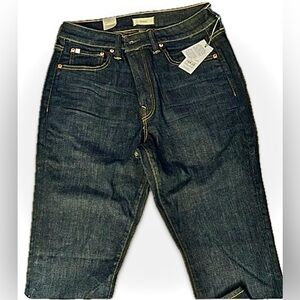 American Eagle Outfitters Dark Blue Skinny Jeans